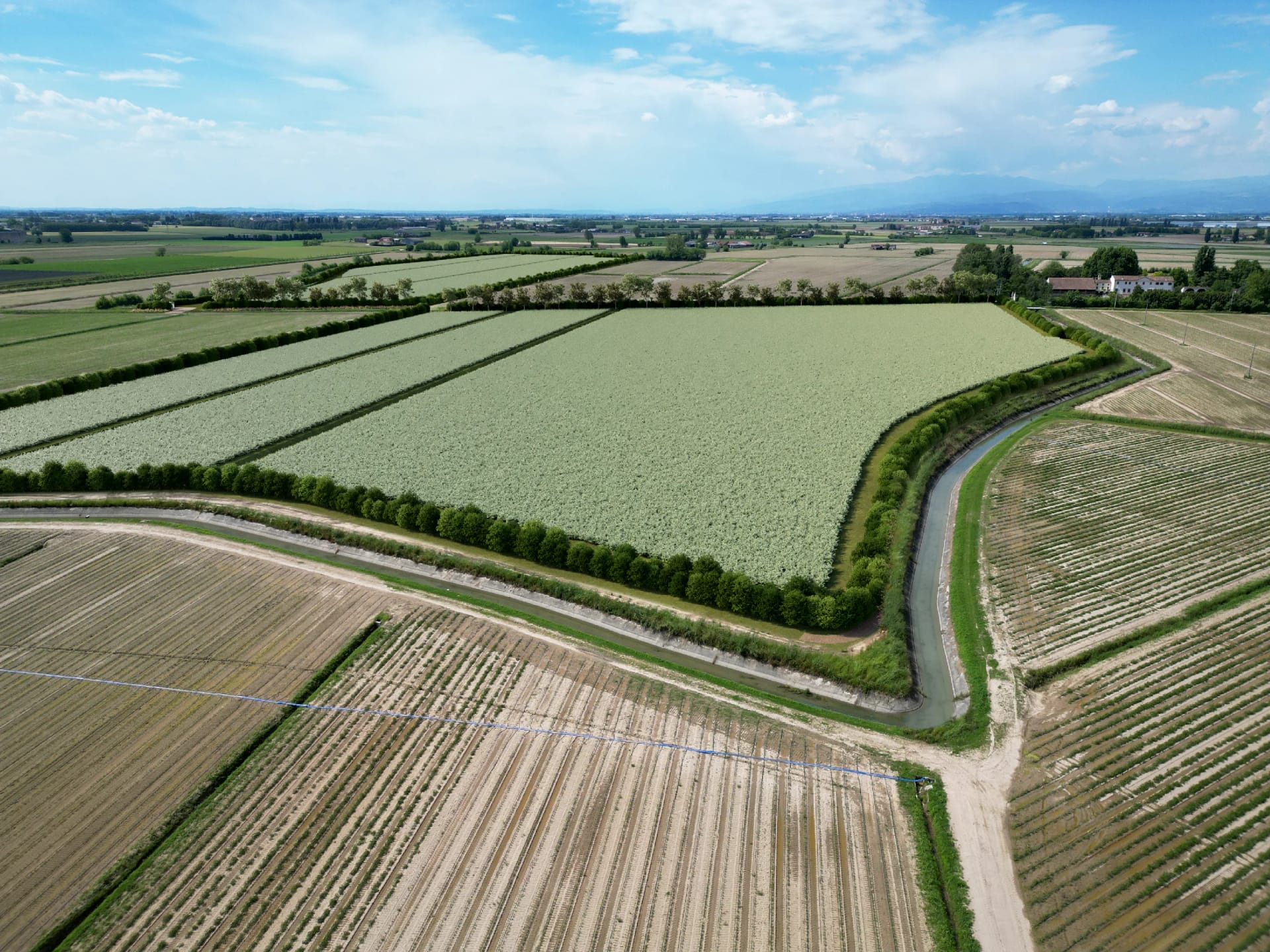 Terreno agricolo pianura vista drone - Archivision Studio